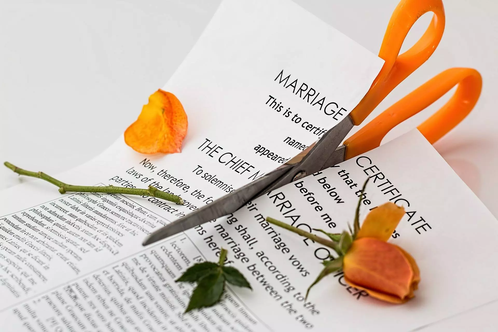 What Can A Wife Claim In A Divorce