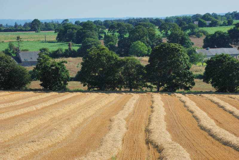 Can You Get Planning Permission On Agricultural Land